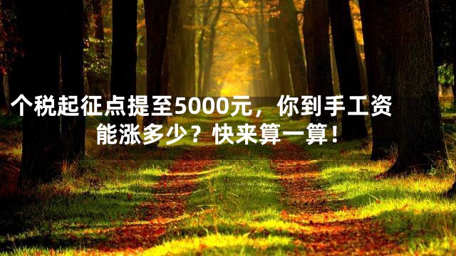个税起征点提至5000元，你到手工资能涨多少？快来算一算！
