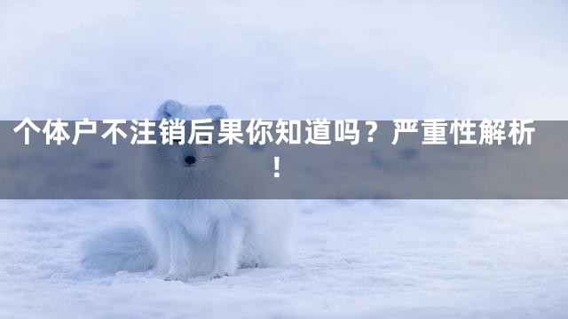 个体户不注销后果你知道吗？严重性解析！