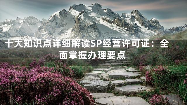 十大知识点详细解读SP经营许可证：全面掌握办理要点