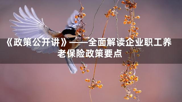 《政策公开讲》——全面解读企业职工养老保险政策要点