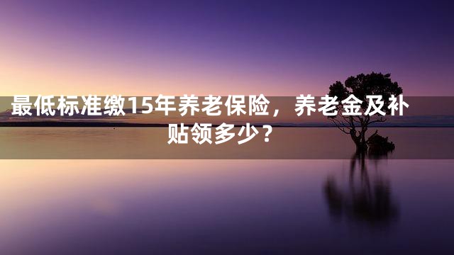 最低标准缴15年养老保险，养老金及补贴领多少？
