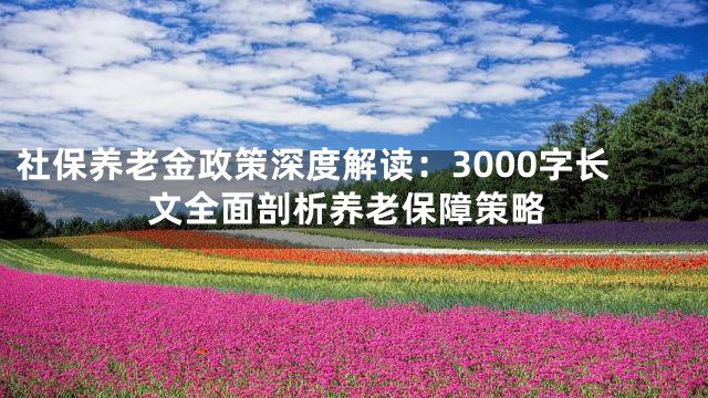 社保养老金政策深度解读：3000字长文全面剖析养老保障策略