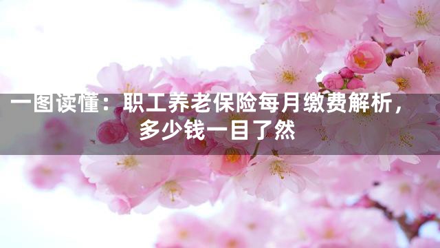 一图读懂：职工养老保险每月缴费解析，多少钱一目了然