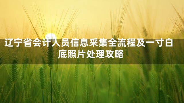 辽宁省会计人员信息采集全流程及一寸白底照片处理攻略