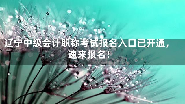 辽宁中级会计职称考试报名入口已开通，速来报名！