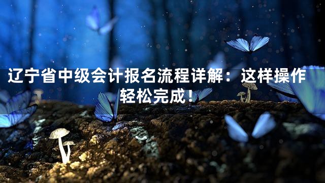 辽宁省中级会计报名流程详解：这样操作轻松完成！