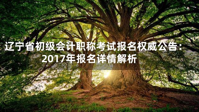 辽宁省初级会计职称考试报名权威公告：2017年报名详情解析