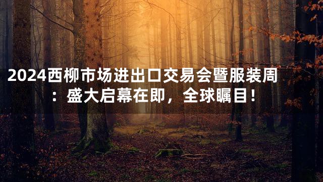 2024西柳市场进出口交易会暨服装周：盛大启幕在即，全球瞩目！