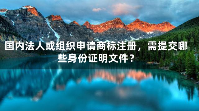 国内法人或组织申请商标注册，需提交哪些身份证明文件？