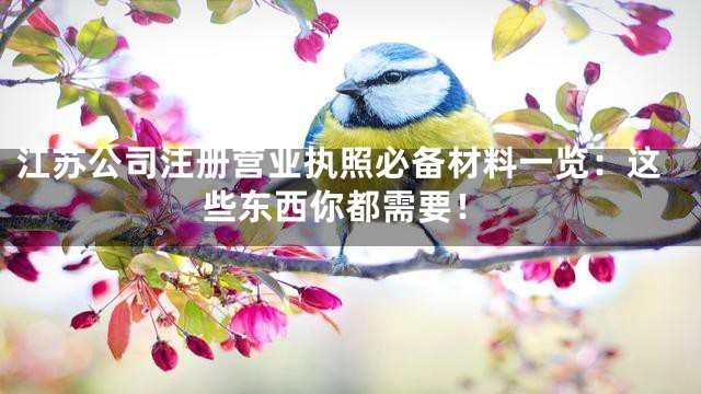 江苏公司注册营业执照必备材料一览：这些东西你都需要！