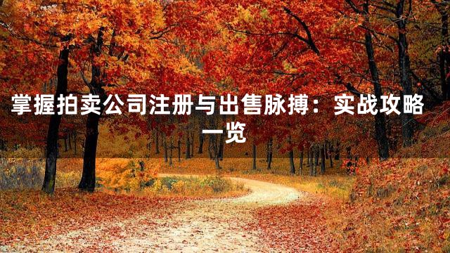掌握拍卖公司注册与出售脉搏：实战攻略一览
