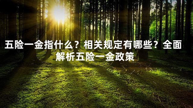 五险一金指什么？相关规定有哪些？全面解析五险一金政策