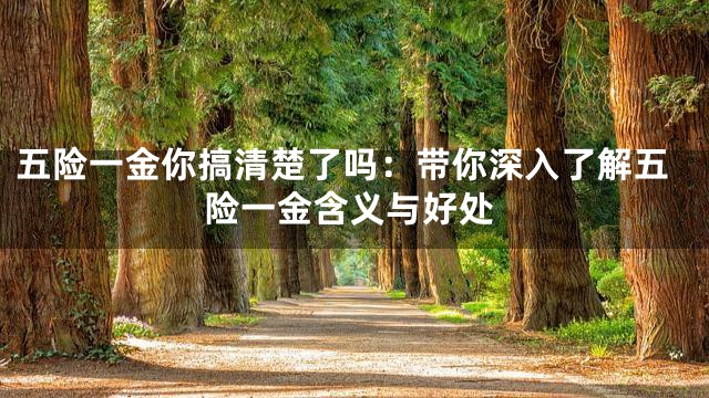五险一金你搞清楚了吗：带你深入了解五险一金含义与好处