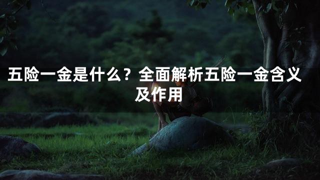 五险一金是什么？全面解析五险一金含义及作用