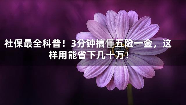 社保最全科普！3分钟搞懂五险一金，这样用能省下几十万！