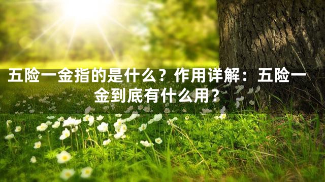 五险一金指的是什么？作用详解：五险一金到底有什么用？