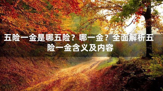 五险一金是哪五险？哪一金？全面解析五险一金含义及内容