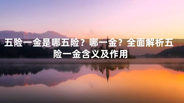 五险一金是哪五险？哪一金？全面解析五险一金含义及作用