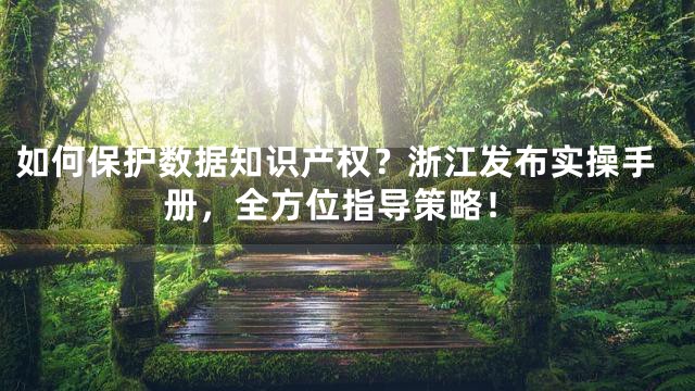 如何保护数据知识产权？浙江发布实操手册，全方位指导策略！