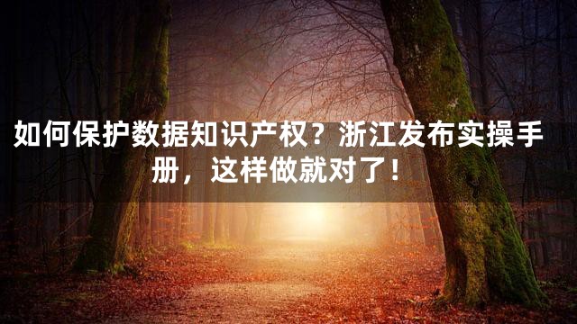 如何保护数据知识产权？浙江发布实操手册，这样做就对了！