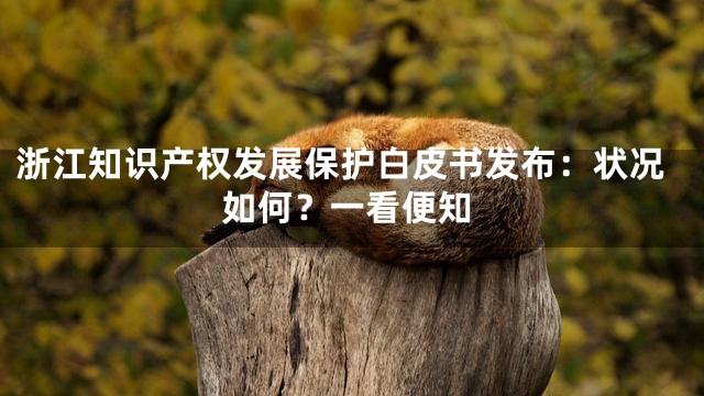 浙江知识产权发展保护白皮书发布：状况如何？一看便知