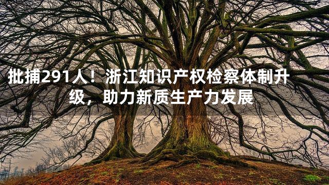 批捕291人！浙江知识产权检察体制升级，助力新质生产力发展