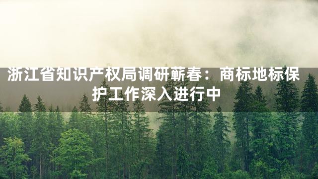 浙江省知识产权局调研蕲春：商标地标保护工作深入进行中