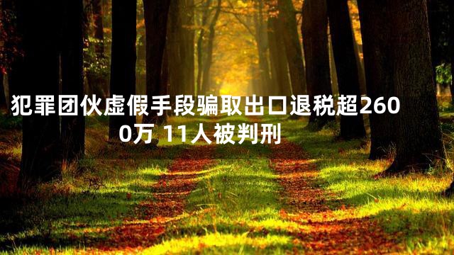 犯罪团伙虚假手段骗取出口退税超2600万 11人被判刑