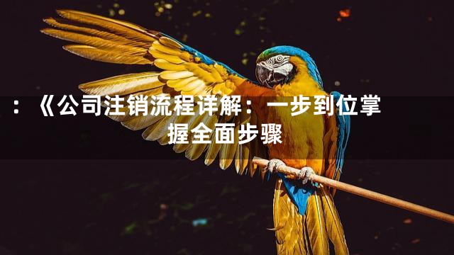 ：《

公司注销流程详解：一步到位掌握全面步骤