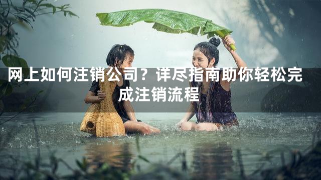网上如何注销公司？详尽指南助你轻松完成注销流程