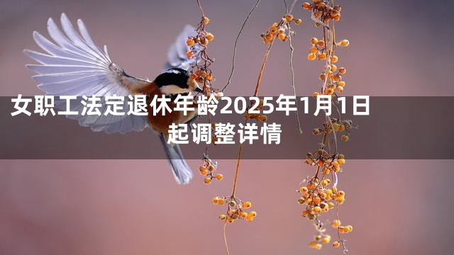 女职工法定退休年龄2025年1月1日起调整详情