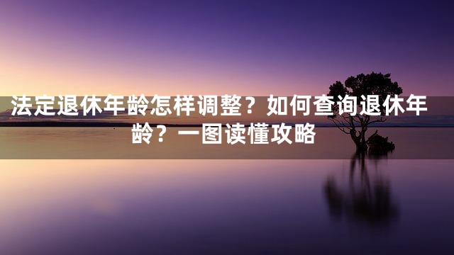 法定退休年龄怎样调整？如何查询退休年龄？一图读懂攻略