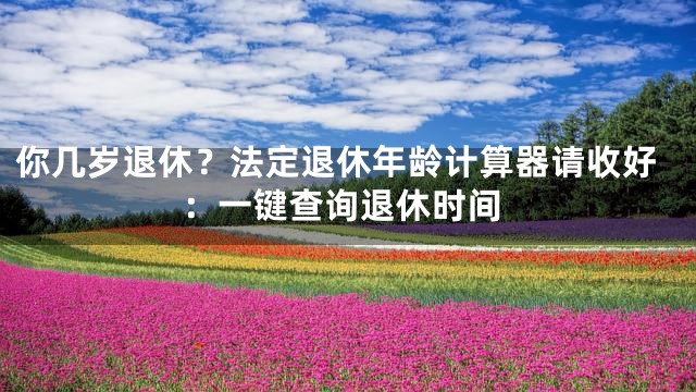 你几岁退休？法定退休年龄计算器请收好：一键查询退休时间