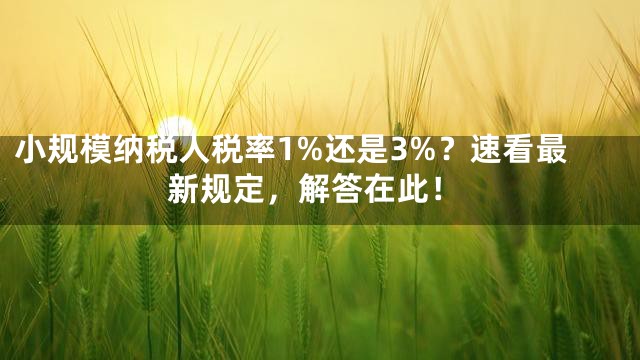 小规模纳税人税率1%还是3%？速看最新规定，解答在此！