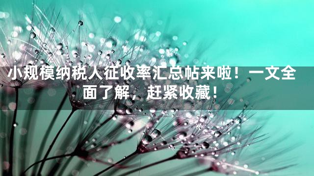 小规模纳税人征收率汇总帖来啦！一文全面了解，赶紧收藏！