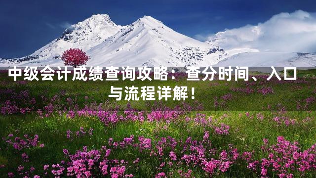 中级会计成绩查询攻略：查分时间、入口与流程详解！