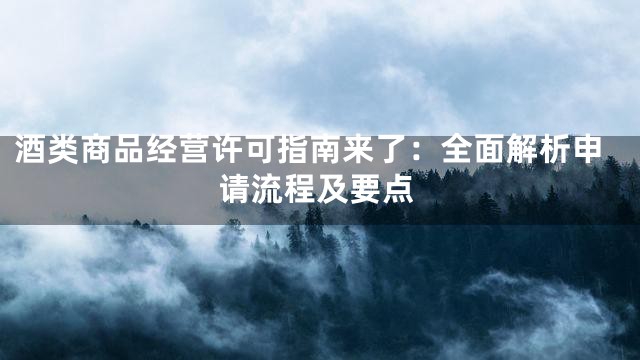 酒类商品经营许可指南来了：全面解析申请流程及要点