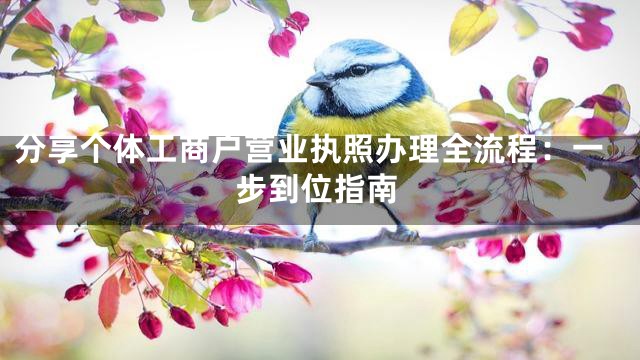 分享个体工商户营业执照办理全流程：一步到位指南