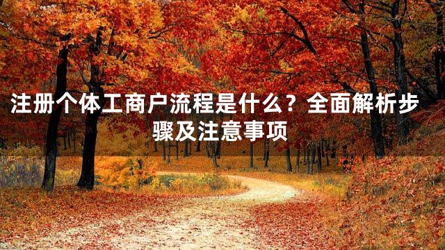 注册个体工商户流程是什么？全面解析步骤及注意事项