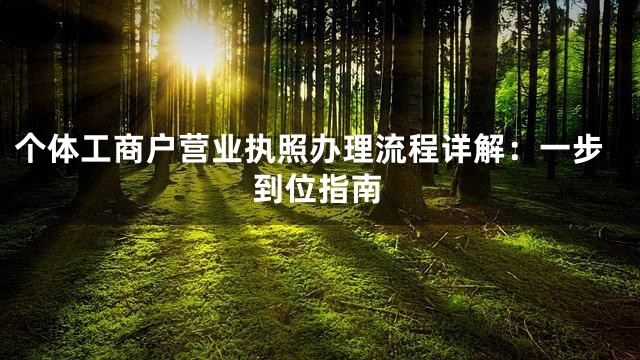 个体工商户营业执照办理流程详解：一步到位指南