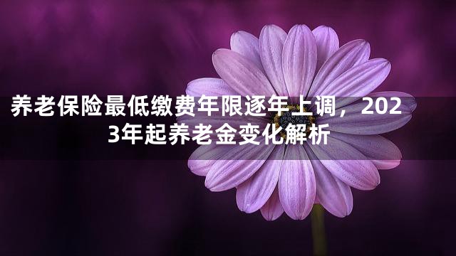 养老保险最低缴费年限逐年上调，2023年起养老金变化解析