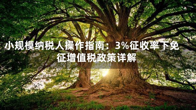 小规模纳税人操作指南：3%征收率下免征增值税政策详解