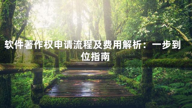 软件著作权申请流程及费用解析：一步到位指南