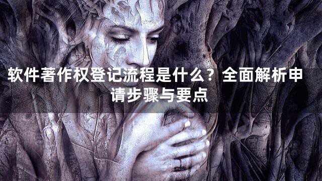 软件著作权登记流程是什么？全面解析申请步骤与要点