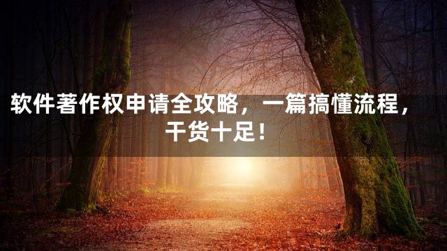 软件著作权申请全攻略，一篇搞懂流程，干货十足！