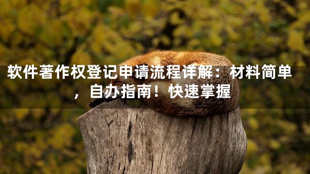 软件著作权登记申请流程详解：材料简单，自办指南！快速掌握