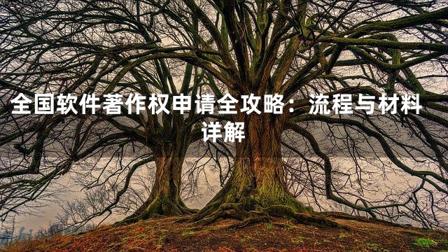 全国软件著作权申请全攻略：流程与材料详解