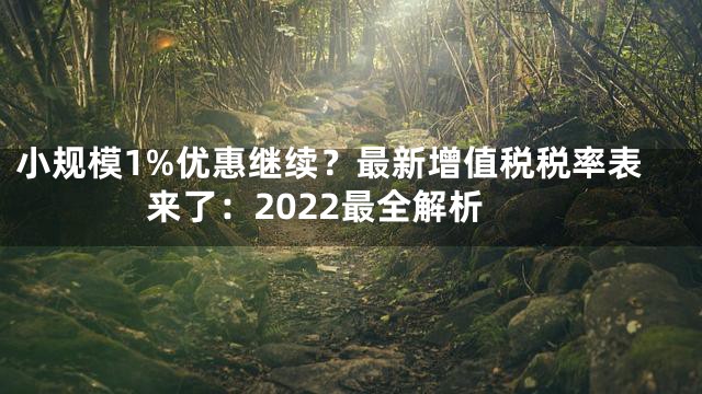 小规模1%优惠继续？最新增值税税率表来了：2022最全解析