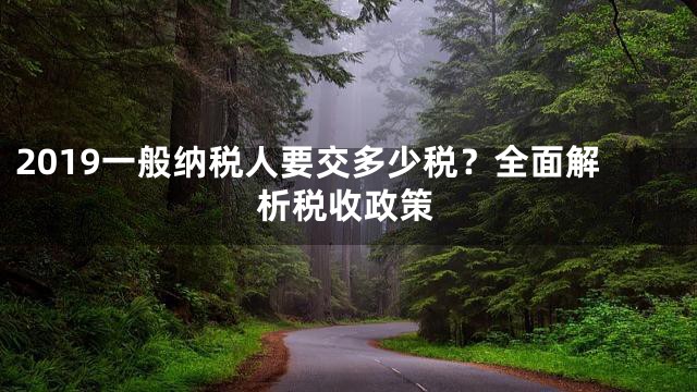 2019一般纳税人要交多少税？全面解析税收政策