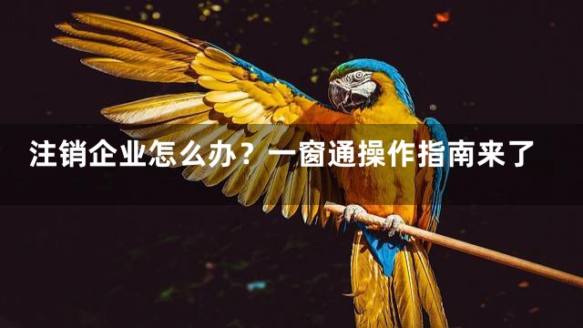 注销企业怎么办？一窗通操作指南来了